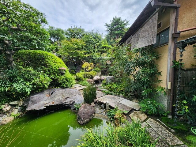 User's recommendation image for 波ぎ茶寮