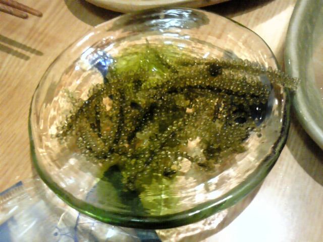 User's review image for 美ら海