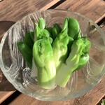 User's review image for JF糸島 志摩の四季