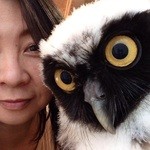 用戶對於ふくろうの集うカフェQuill的評論圖