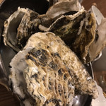 User's review image for サカナトニック BACU