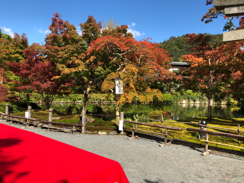 User's review image for みかえり茶屋