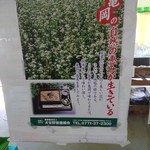 用户对于季楽的评论图
