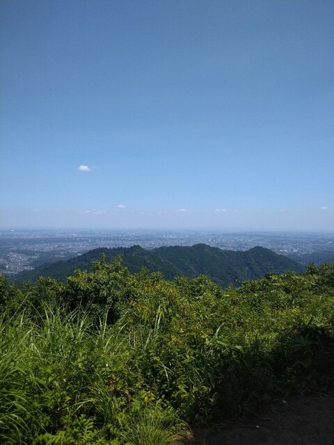 用户对于景信山頂上　景信茶屋　青木的评论高清图