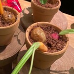 用戶對於Solomons的評論圖