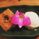 用户对于Kroon的评论图