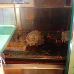 用戶對於ろばた焼つきじ 島根店的評論圖