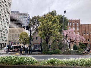 用戶對於鮨茶寮 四季彩的評論圖