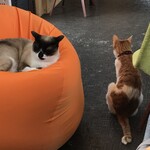 User's review image for Yogibo Versailles Resort Farm CAFE