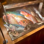 User's review image for なきざかな 新宿店はなれ