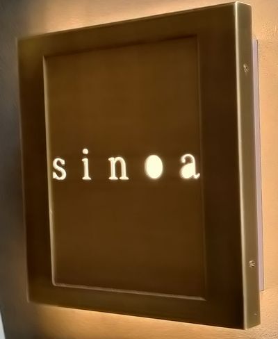 User's review image for sinoa