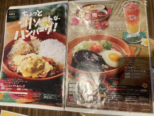 用户对于びっくりドンキー 永山店的评论图