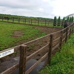 User's review image for Yogibo Versailles Resort Farm CAFE