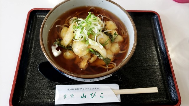 用户对于食堂 山びこ的评论高清图