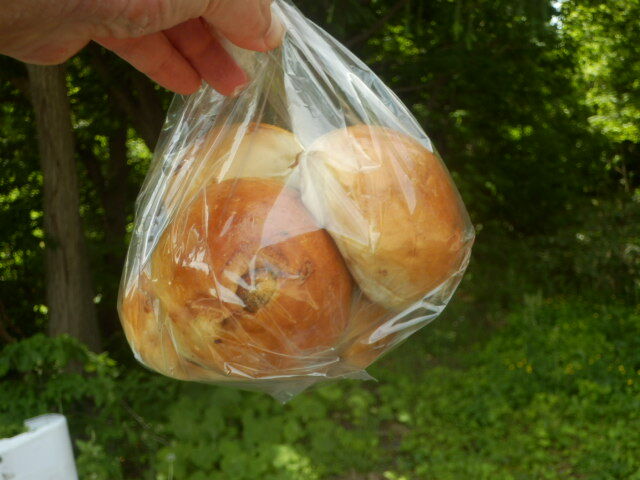 用户对于ブランジェリー ラ・フォンティヌ・ドゥ・ルルド的评论图