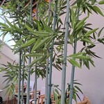 用户对于さるやまキッチン的评论图