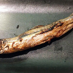 用户对于鮨 棗 大通りビッセ店的评论图