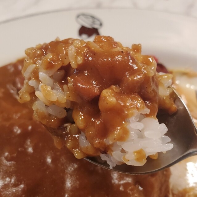 用户对于カレー専門店 印度 北2条店的评论高清图
