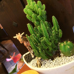 User's review image for 炭火焙煎珈琲 きりん珈琲 豊中店