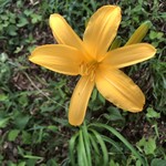 User's review image for すき家 府中浅間店