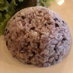 User's review image for Bista