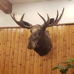 User's review image for 梅田サウナニュージャパン　ビーチサイドバー