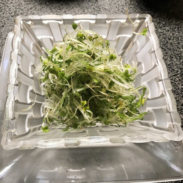 用户对于美国観光ハウス的评论高清图