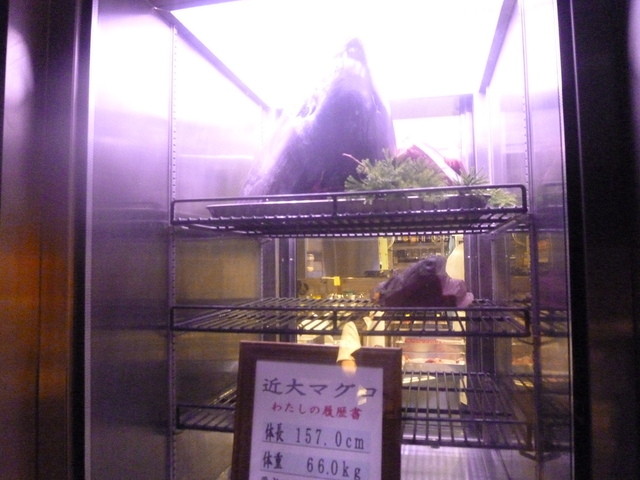 User's recommendation image for 近畿大学水産研究所 銀座店