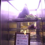 User's review image for 近畿大学水産研究所 銀座店