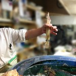 用户对于よし庵的评论图