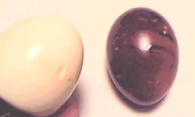 用户对于石川養鶏場的评论图