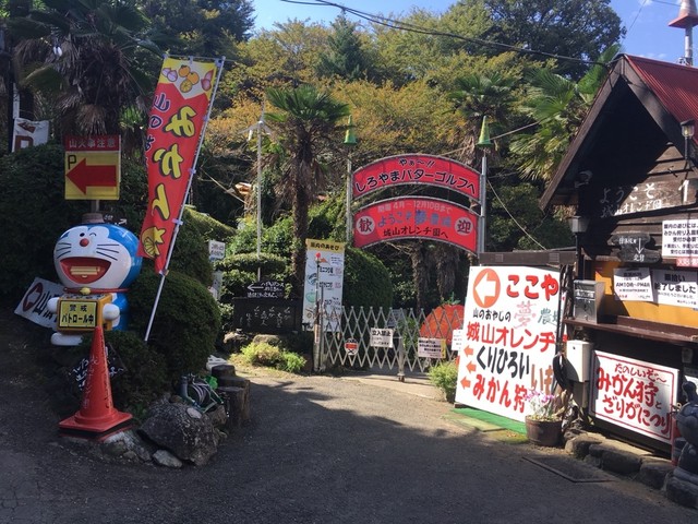 用戶對於城山オレンヂ園的評論高清圖