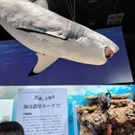 用戶對於台湾料理 新東洋的評論圖