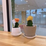 User's review image for NOMUGELA COFFEE