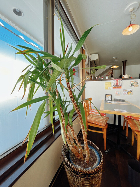 用户对于Spice&mill的评论高清图