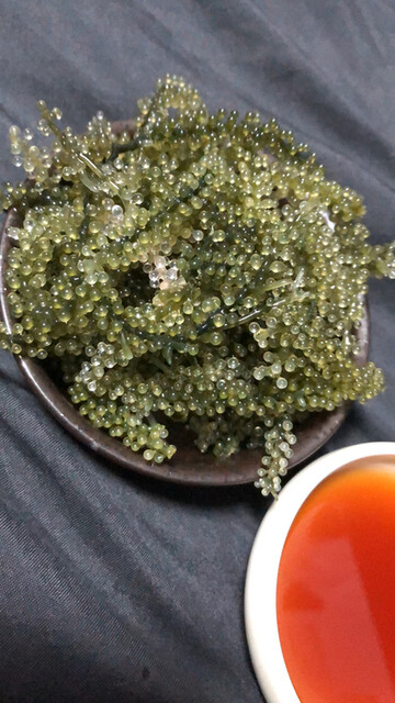 User's recommendation image for コストコ 久山店