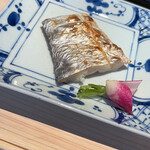 用户对于鮨m的评论图