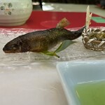用戶對於貴船べにや的評論圖