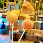 用戶對於猫カフェMOCHA 秋葉原店的評論圖
