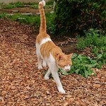 User's review image for Yogibo Versailles Resort Farm CAFE