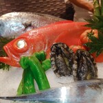 用戶對於銀座 kappou ukai 肉匠的評論圖