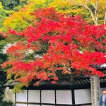 用戶對於京こんぶ千波的評論圖