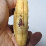 用户对于たいやき 一休 麻生店的评论图