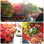 用戶對於花家本店的評論圖