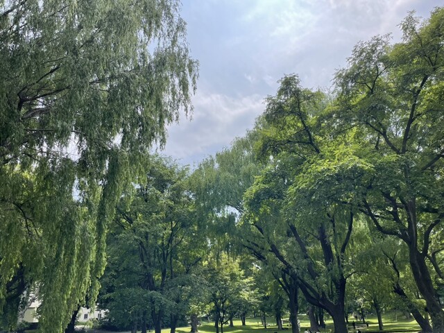 User's recommendation image for セイコーマート  北海道大学店