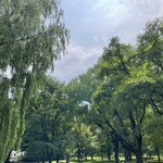User's review image for セイコーマート  北海道大学店