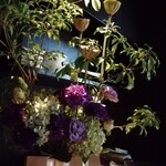 用户对于バーマデューロ的评论图