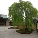 User's review image for 開花亭