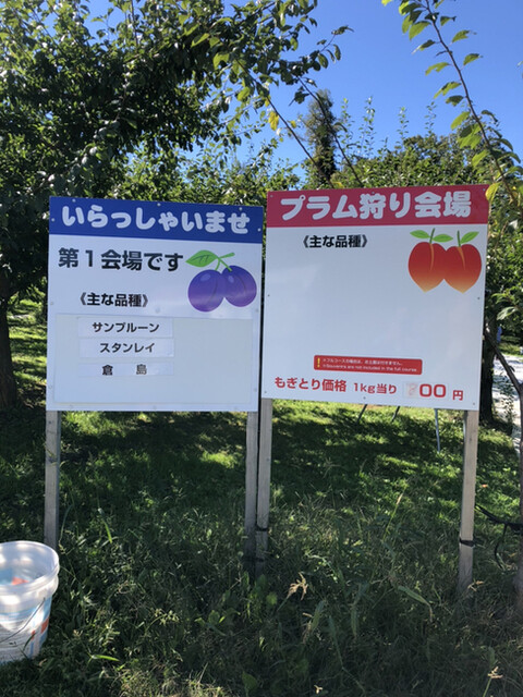 用戶對於さくらんぼ山観光農園的評論高清圖