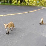 用户对于沼の家的评论图